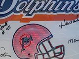 Bourget Miami Dolphins